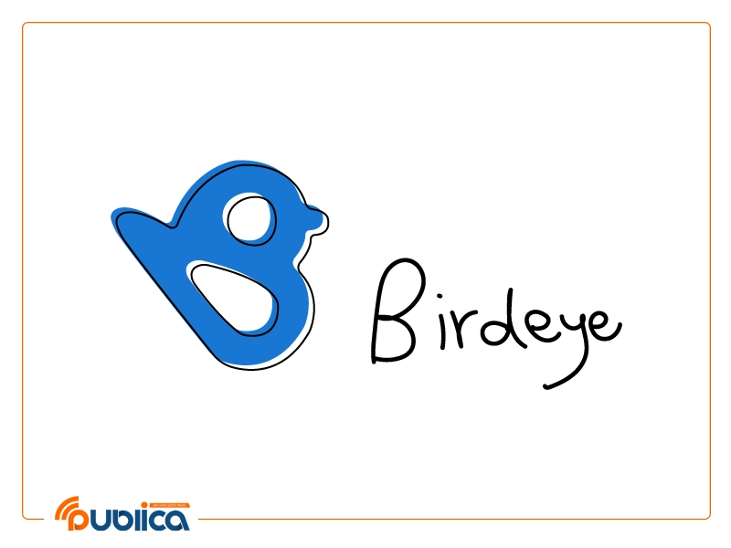 پلتفرم Birdeye برای کمک به افزایش حضور آنلاین کسب‌­وکار شما